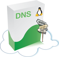 icon.action.dnslinux